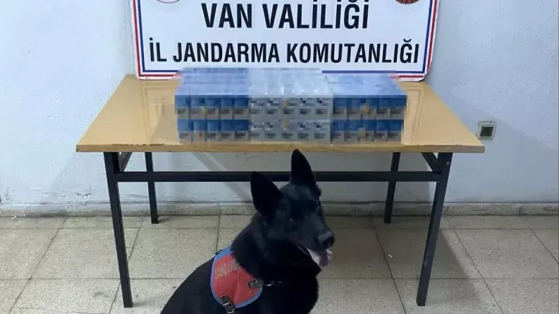 VAN'DA KAÇAKÇI OPERASYONU 