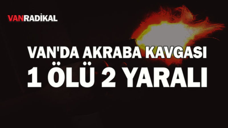 Van'da Akraba Kavgasında 1 Ölü, 2 Yaralı