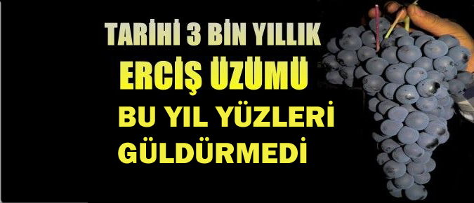 Bu yıl beklenen hasat elde edilemedi