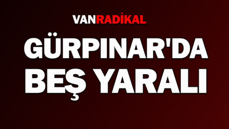 Gürpınar'da beş kişi yaralandı 