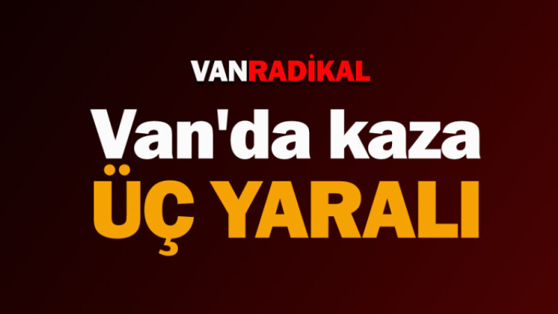 Van'da üç kişi yaralandı 