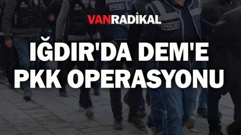 Iğdır'da DEM'e PKK'a operasyonu