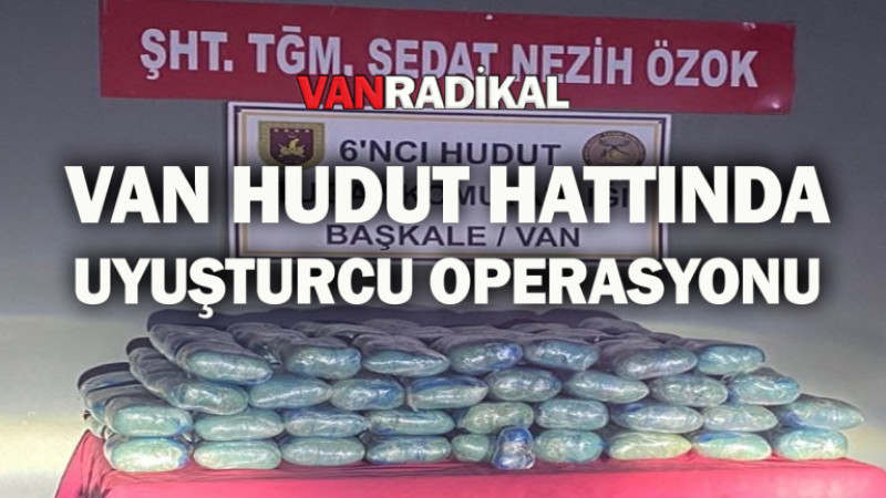 Van'ın hudut hattında yakalandı 