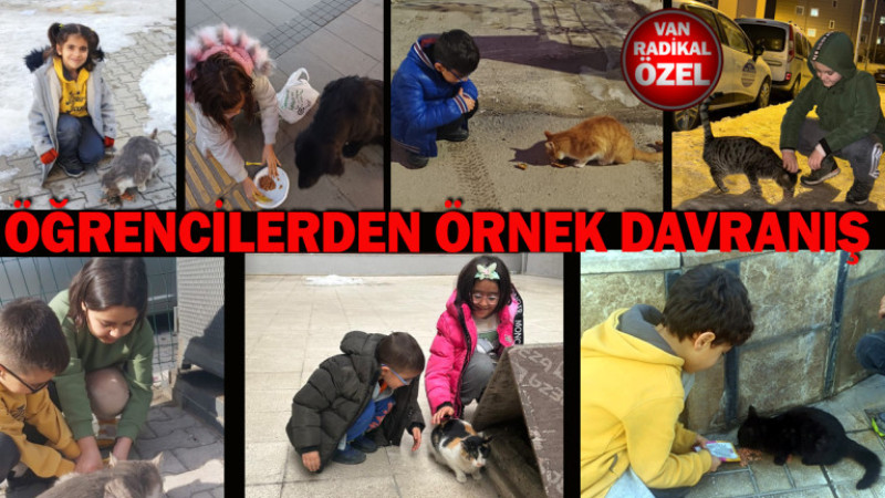 Van'daki öğrencilerden örnek davranış 