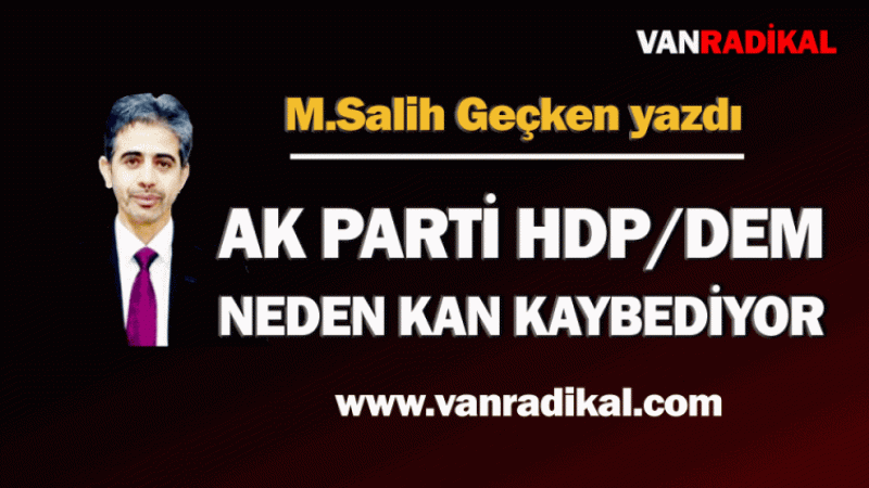 HDP ve AK Parti neden oy kaybediyor?