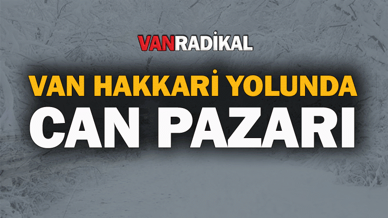 Van Hakkâri karayolunda can pazarı 