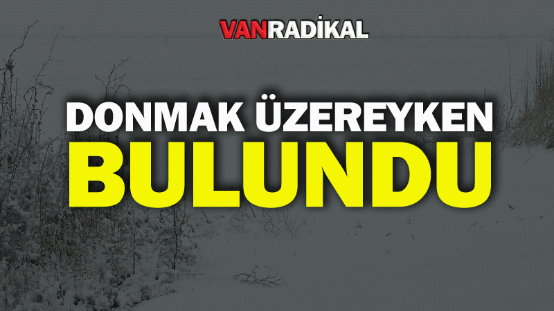 Donmak üzereyken bulundu