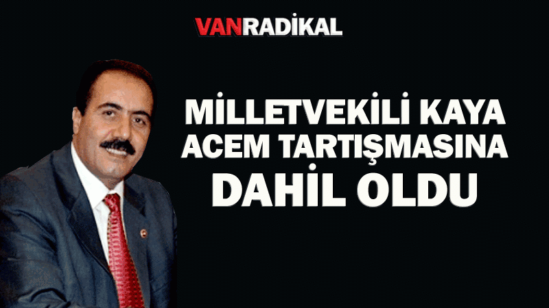 Ak Parti Milletvekili 