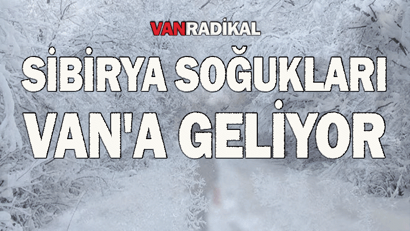 Sibirya soğukları Van'a geliyor 