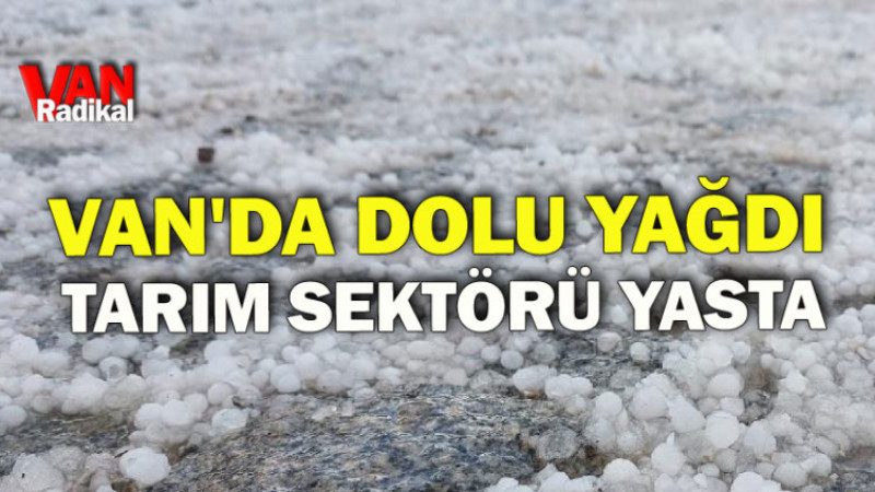 Dolu Yağışı Vanlı üreticiyi vurdu