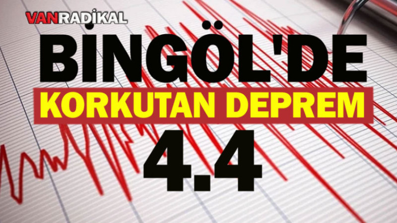 Bingöl'de korkutan deprem 4.4