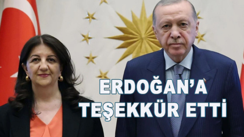 DEM'DEN ERDOĞAN'A TEŞEKKÜR