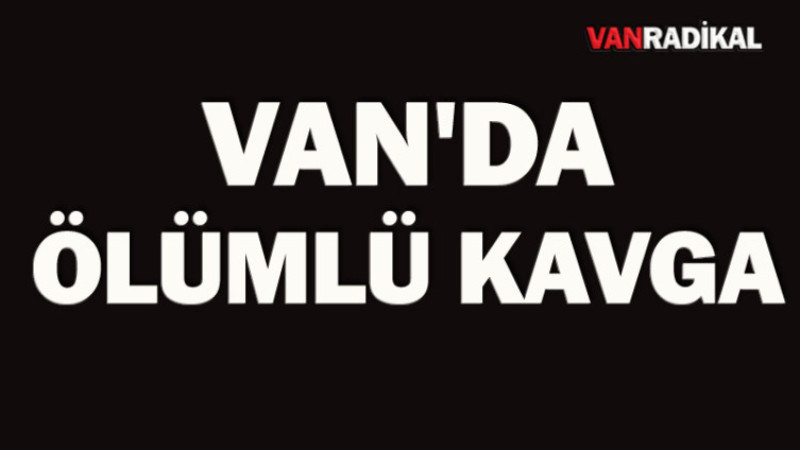 Van'da ölümle sonuçlanan kavga