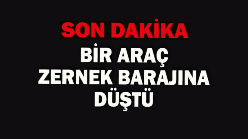 Van'da Otomobil Zernak Baraj Gölü’ne Uçtu