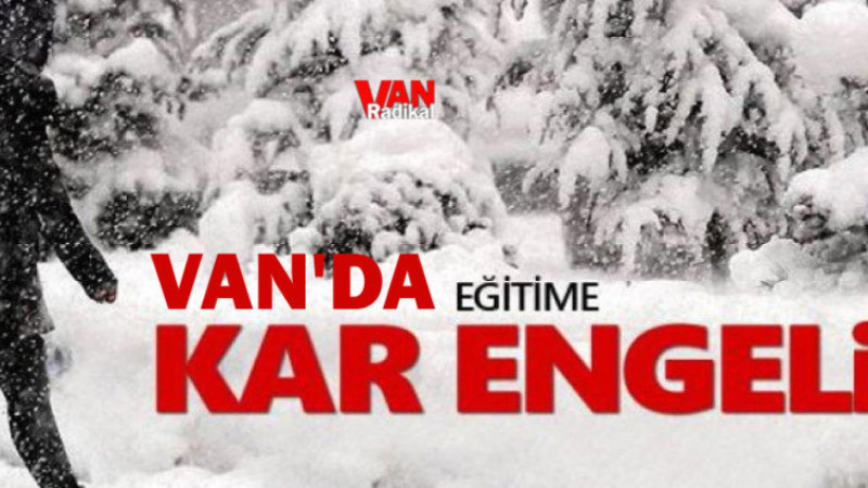 Van'da 4 İlçede Eğitime Kar Engeli
