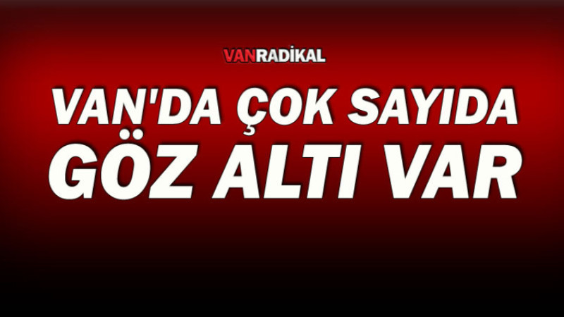 Van'da Çok Sayıda Gözaltı 
