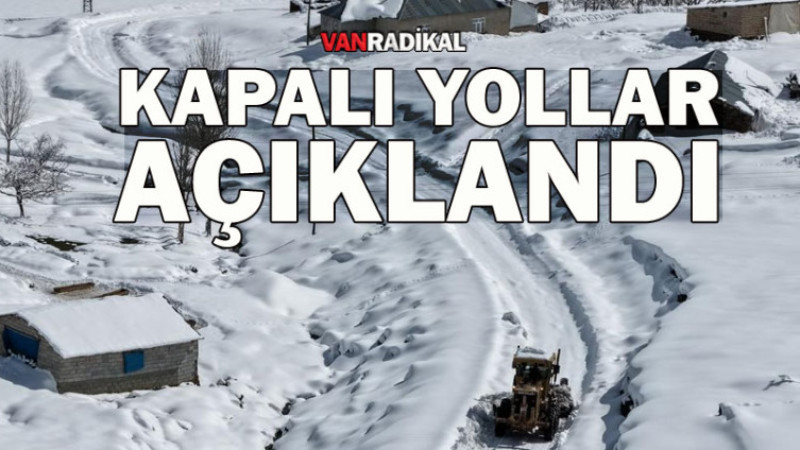 Yoğun Kar Yağışı Ulaşımı Engelledi