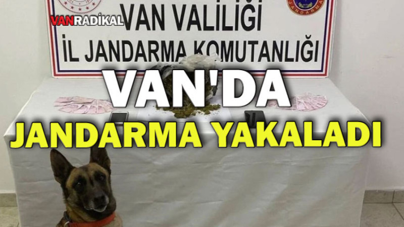 Van'da Uyuşturucu Operasyonu