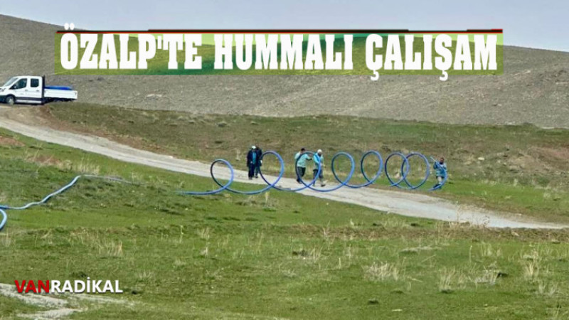 ÖZALP'DE HUMMALI ÇALIŞMA