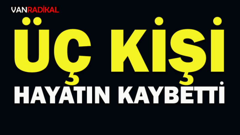 VAN'A GELECEKTİ KAZA YAPTI