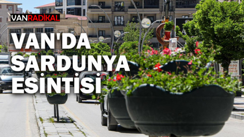 VAN'DA SARDUNYA ESİNTİSİ