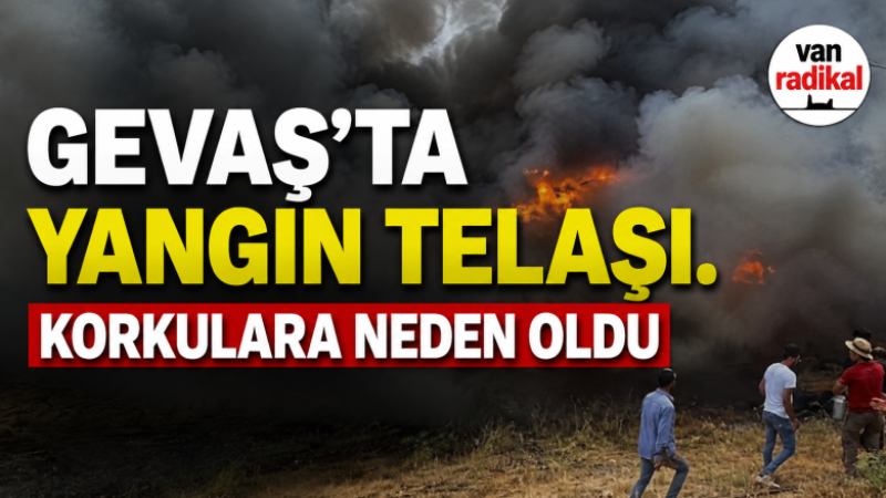 GEVAŞ'TA YANGIN TELAŞI 
